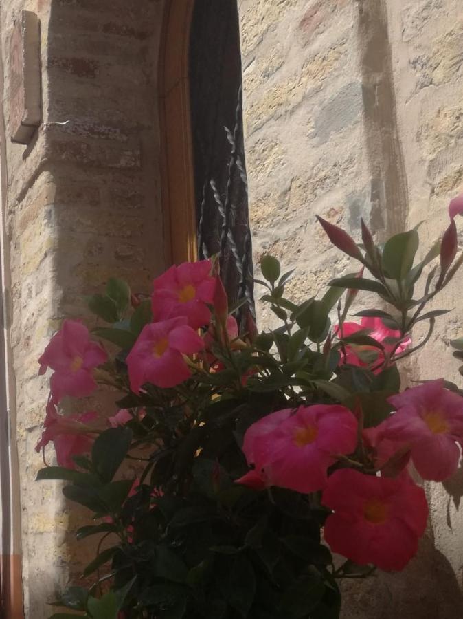 B&B Porta Girone Civitanova Alta Esterno foto